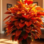 philodendron autumn care guide